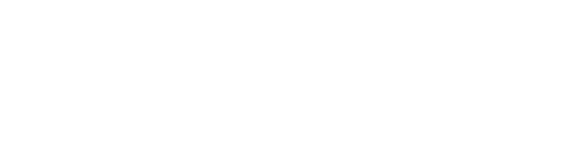selfe.ru